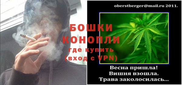 шишки Балахна