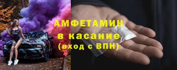 прущие грибы Новозыбков