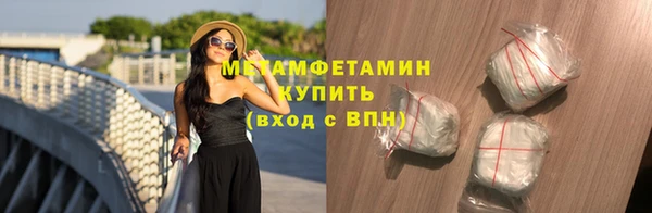 прущие грибы Болотное