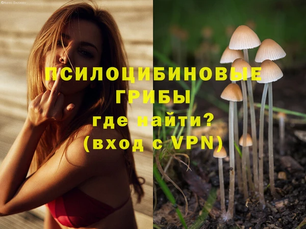 прущие крисы Кулебаки