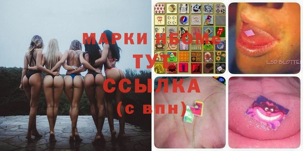 шишки Балахна