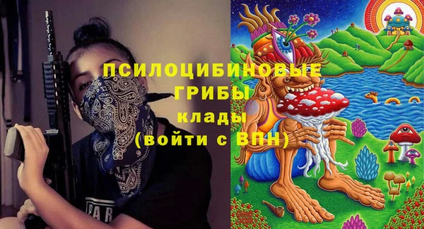 шишки Балахна