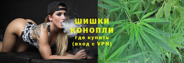 прущие грибы Новозыбков